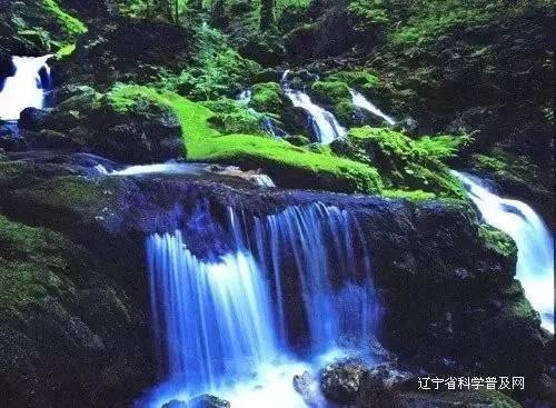 日常做好九点 给心脏减负